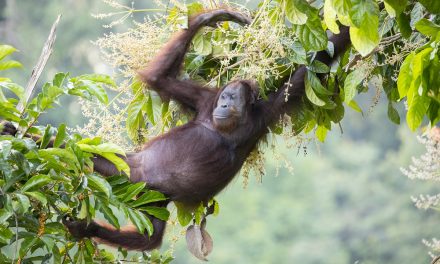 My Biggest Concern for the Future of Life on Earth