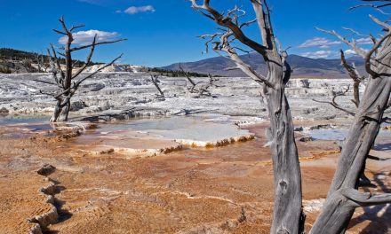 Making Travelers: View-Masters, Slideshows and Mailed Boxes