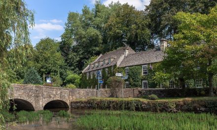 Pubs, an Englishman’s Natural Habitat
