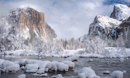 Holidays 2019: Finding Quiet in a Noisy Season