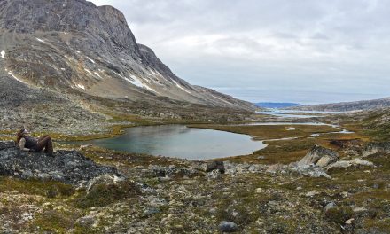 Put Your Fears on Ice, and Travel to the Cold Places