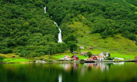 Norway Is the World’s First Nation to Ban Deforestation