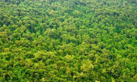 Nat Hab’s 2020 Sustainability Goals