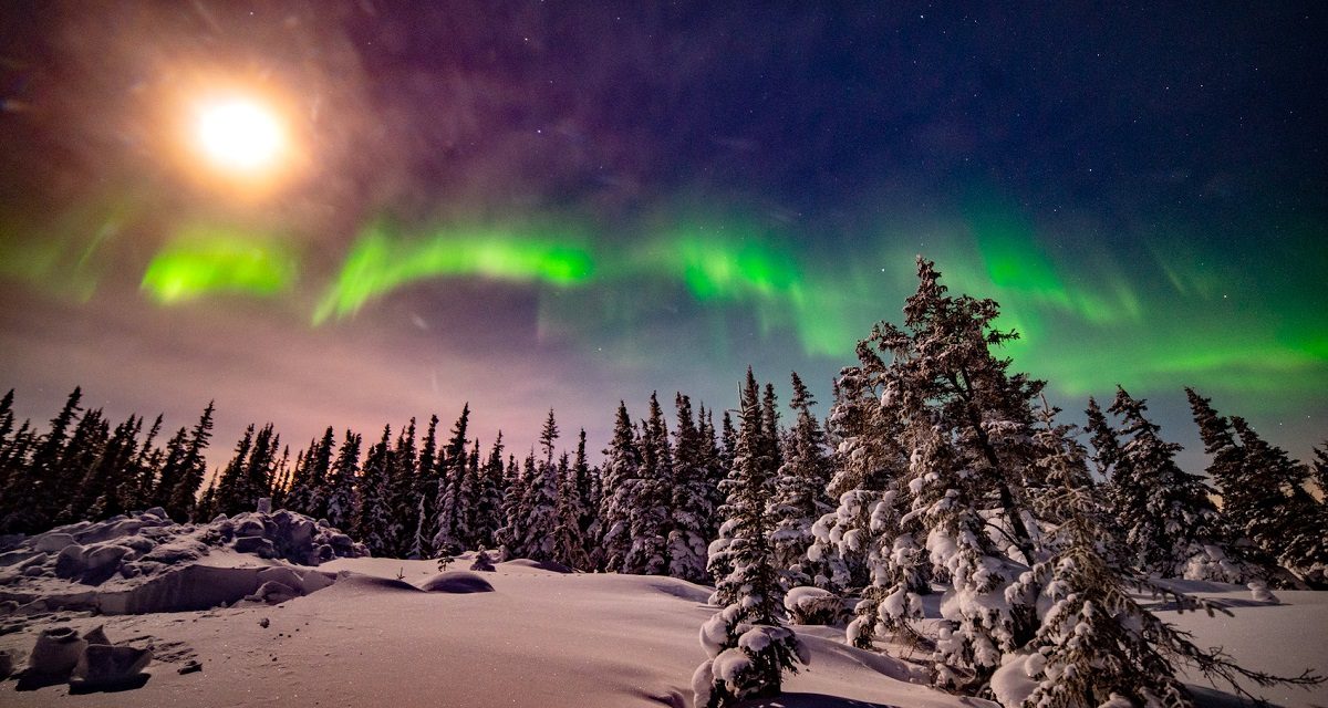 Recover from Holiday Burnout with a Nature-Focused New Year Escape