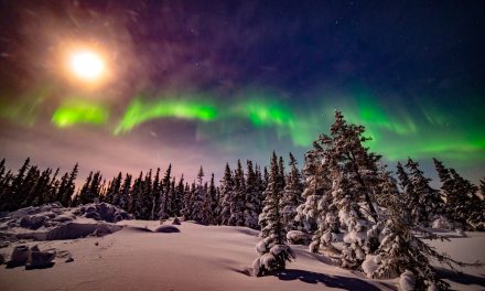 Recover from Holiday Burnout with a Nature-Focused New Year Escape