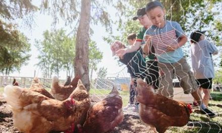 Nat Hab Grant Helps Children Reconnect with Nature