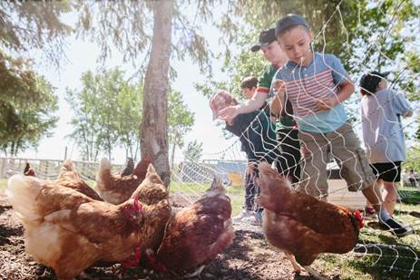 Children in the Farm to Fork program at FortWhyte Alive.