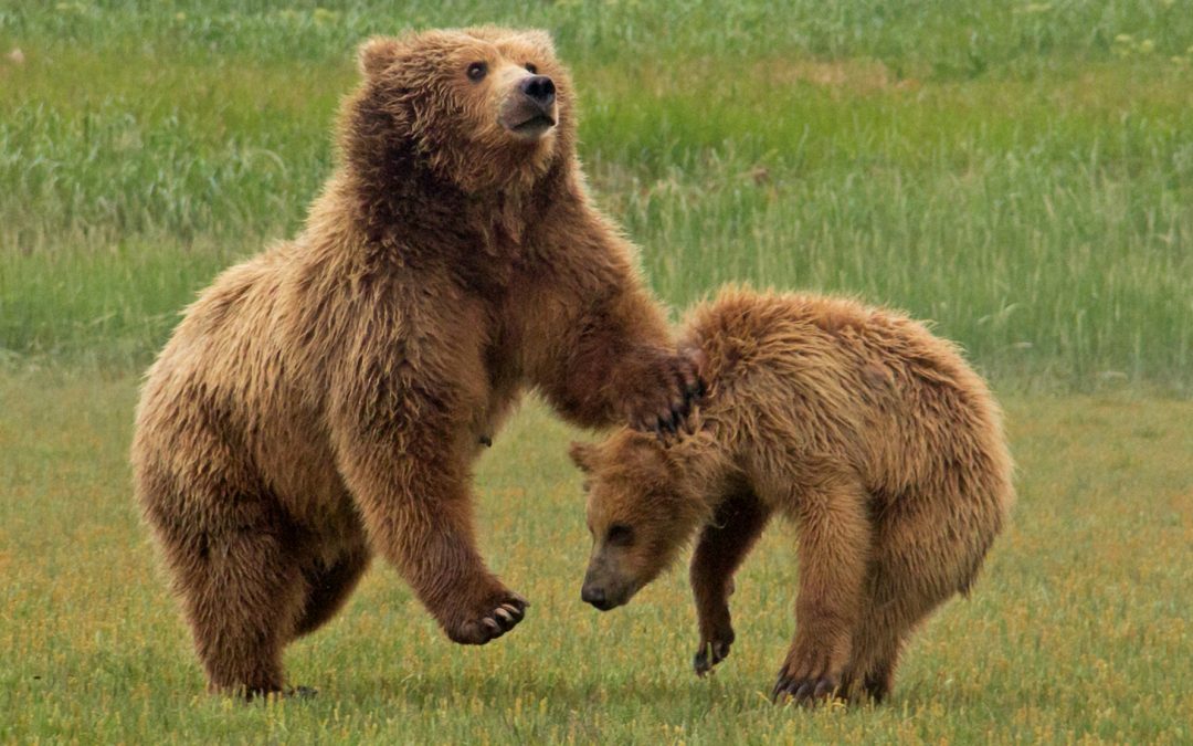 How to Be a Better Environmentalist When Traveling