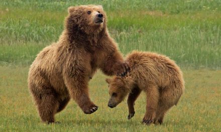 How to Be a Better Environmentalist When Traveling