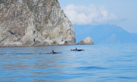 Traveler Story: 3 Highlights from an Ultimate Alaska Wildlife Safari