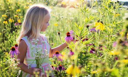 Connection with Nature as a Child Means a Healthier Adult