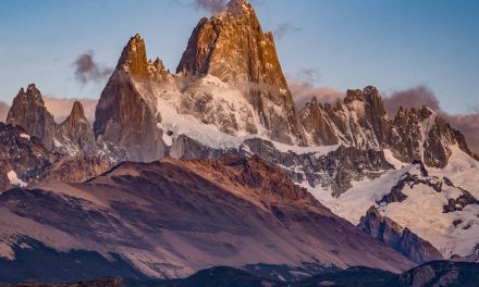 Escape Artists: Nat Hab Staff Get Travelers Home During Covid Crisis