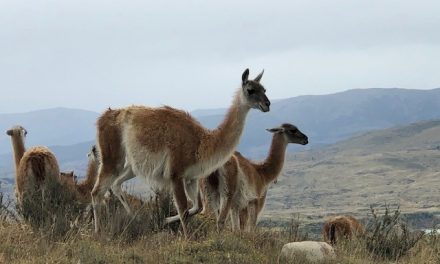 Adventure & Inspiration in Patagonia
