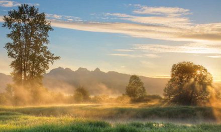 To Prevent the Next Pandemic, Protect Nature