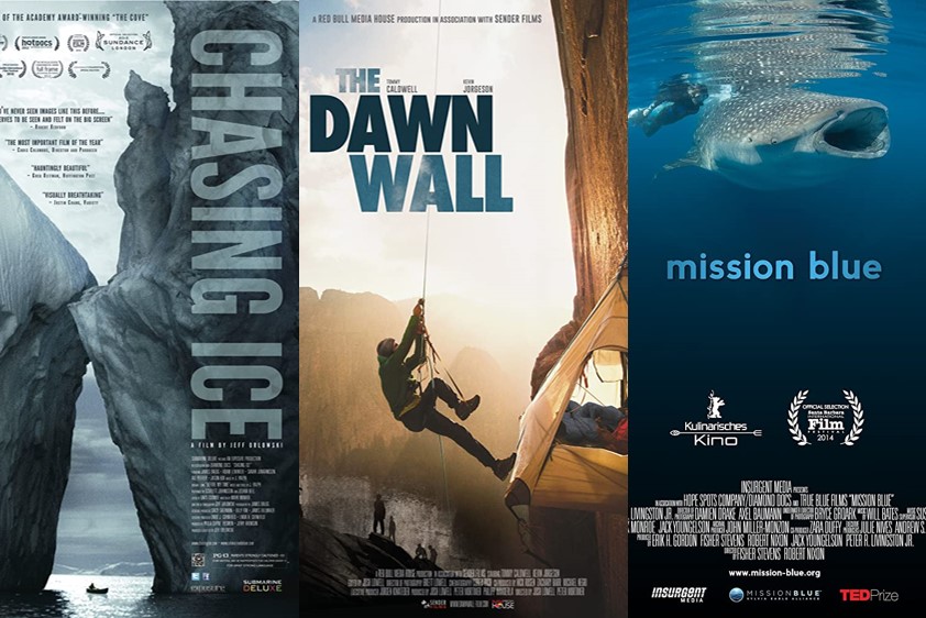 Staff Picks: 15 Nature Documentaries to Watch Right Now