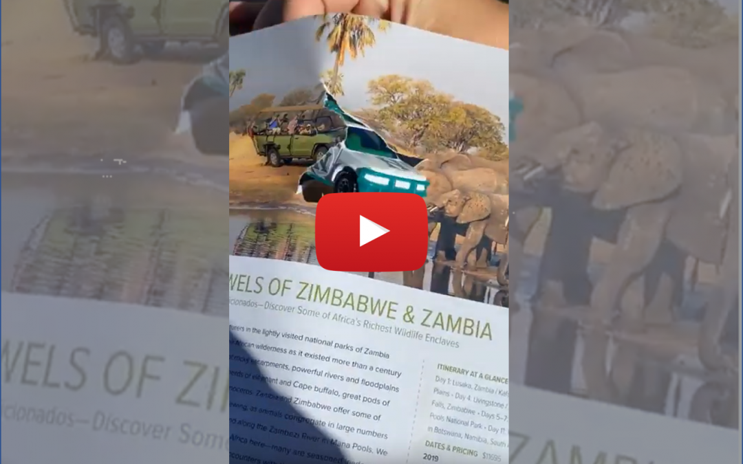 Fun with Stop Motion: Hop on This Virtual Nat Hab Safari!