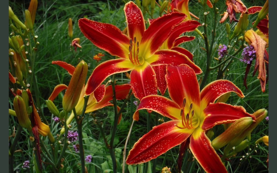 Five Sensory Travel Journeys for the Coronavirus Age