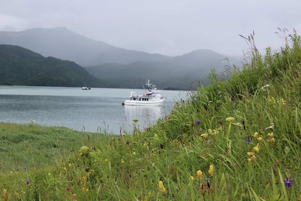 Home on the Natural Habitat Ursus