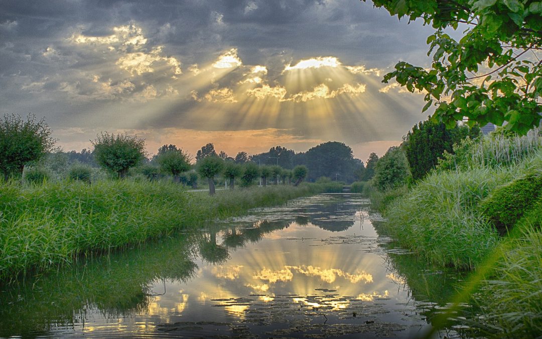 Pandemic Ponderings: 25 Phenomenal Facts about our Planet