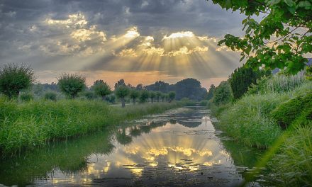 Pandemic Ponderings: 25 Phenomenal Facts about our Planet