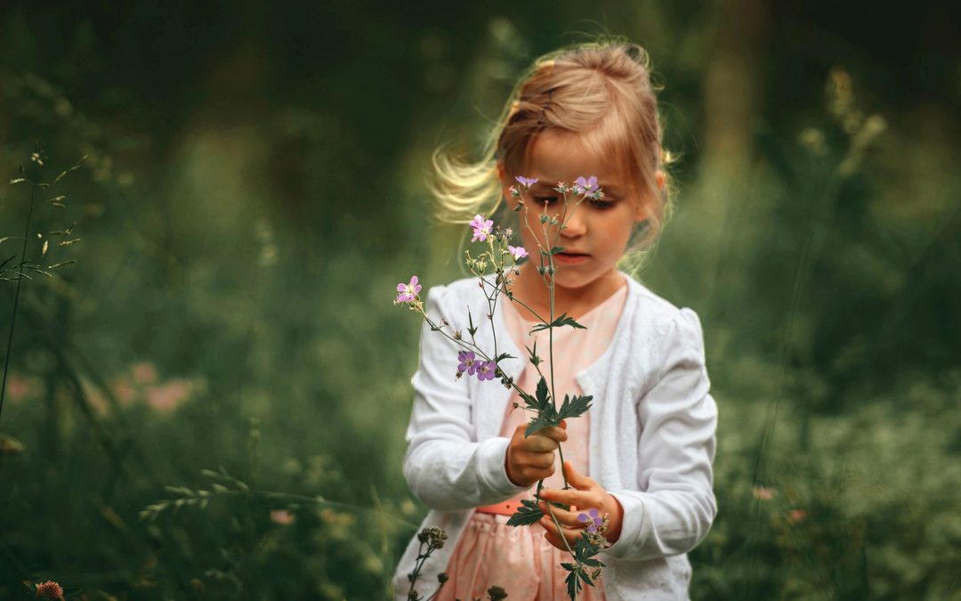 Outdoor Education Is Disappearing Due to COVID-19