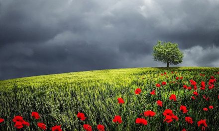 Videos: Nature Finally Talks Back—Redux