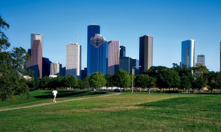 City Plans to Consider Nature’s Impact on Mental Health