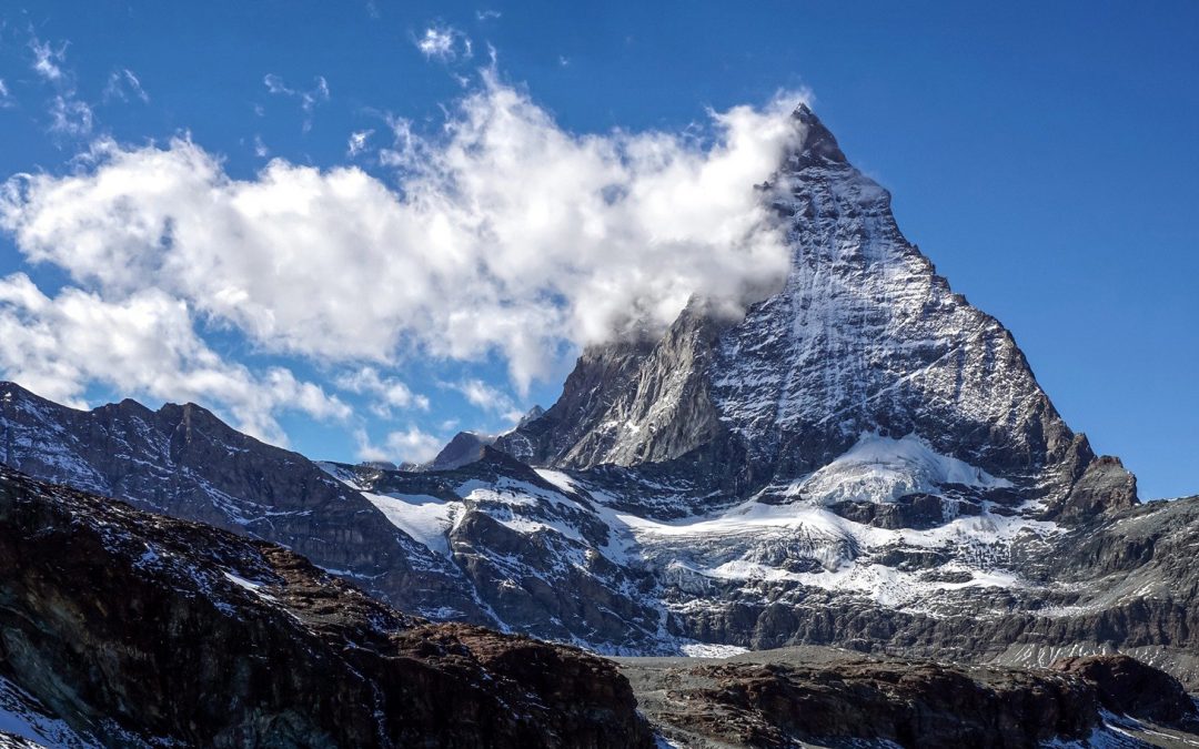 Videos: Nature Finally Talks Back—Again