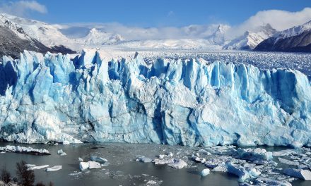 Patagonia Ice and the Pandemic Stories It Will Tell