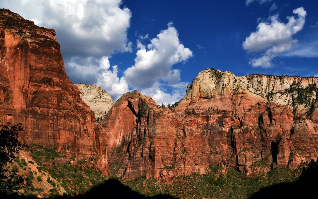 Video: Zion National Park, Where Color Lives