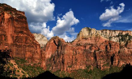 Video: Zion National Park, Where Color Lives