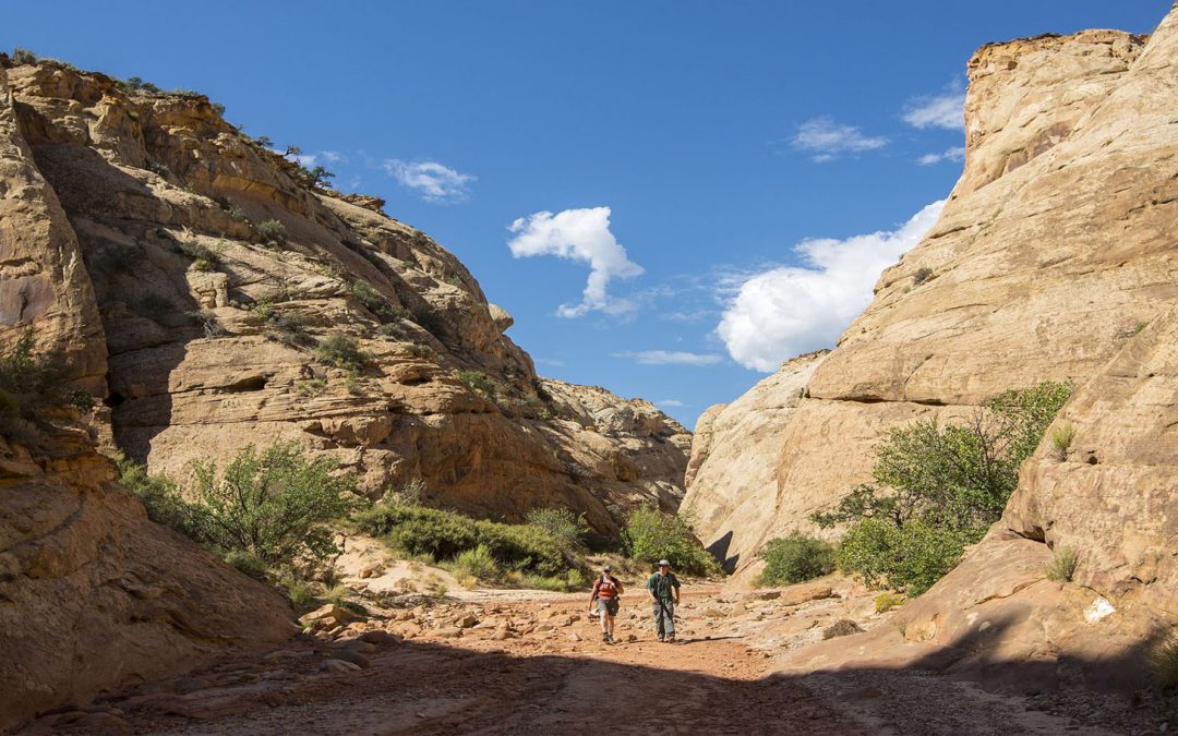 Our Needs to Walk and to Talk Are Satisfied by Travel