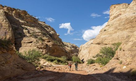 Our Needs to Walk and to Talk Are Satisfied by Travel