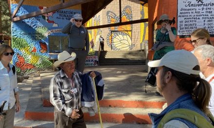 Rare Moments with Monarch Butterflies in Mexico