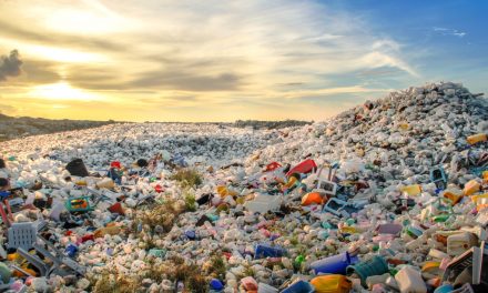 What Happens when a Global Pandemic Interrupts Sustainability Routines: Part 2