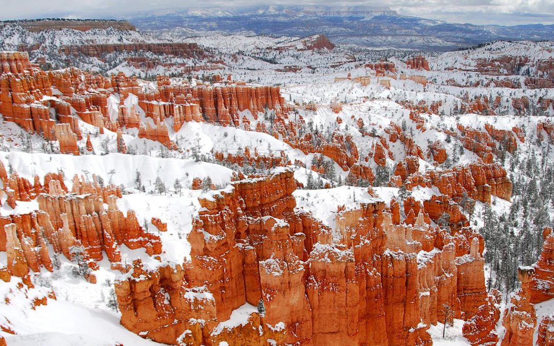 Bryce Canyon Video: A Bright Spot in a Bleak Year