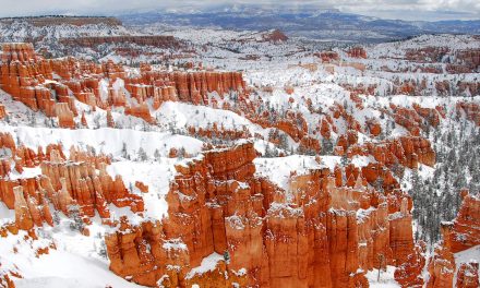 Bryce Canyon Video: A Bright Spot in a Bleak Year