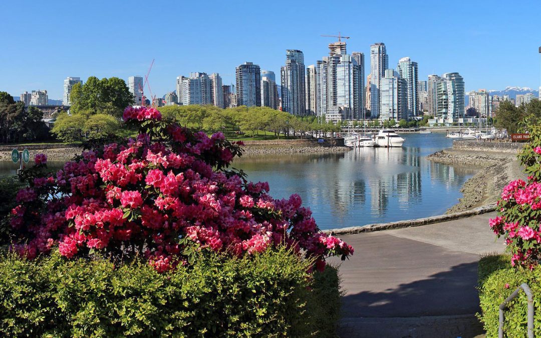 A City Park Visit Lifts Your Mood as Much as Christmas