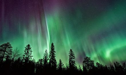 Winter 2025 Will Bring The Best Northern Lights Display in 20 Years