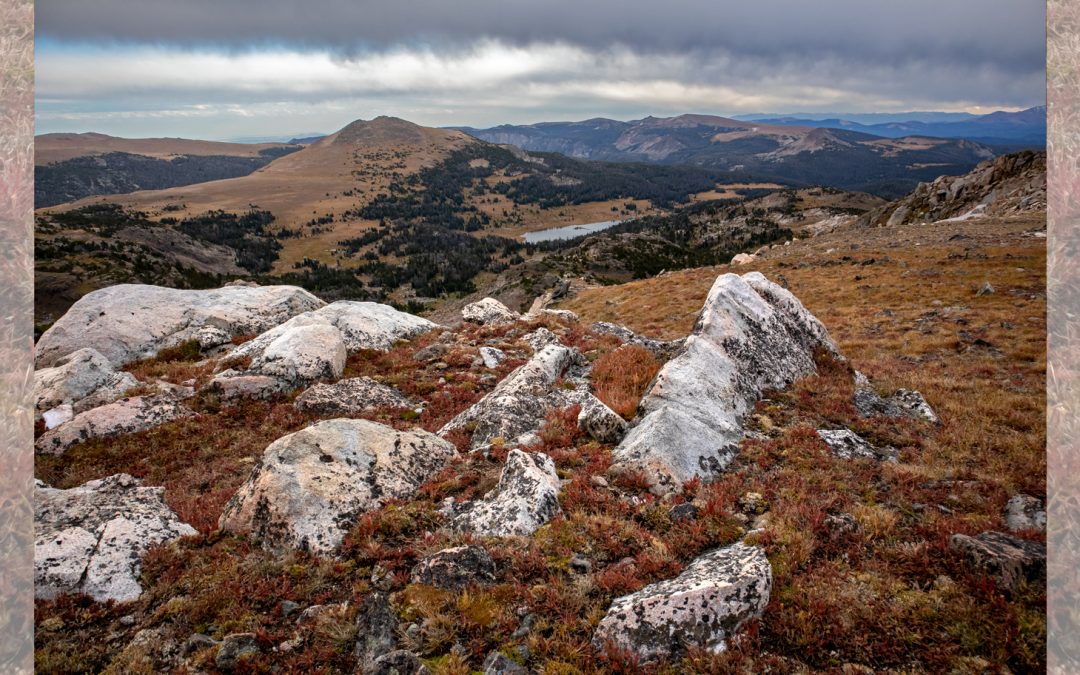 Above the Tree Line in the Greater Yellowstone Ecosystem