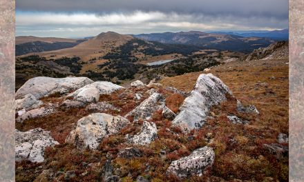 Above the Tree Line in the Greater Yellowstone Ecosystem