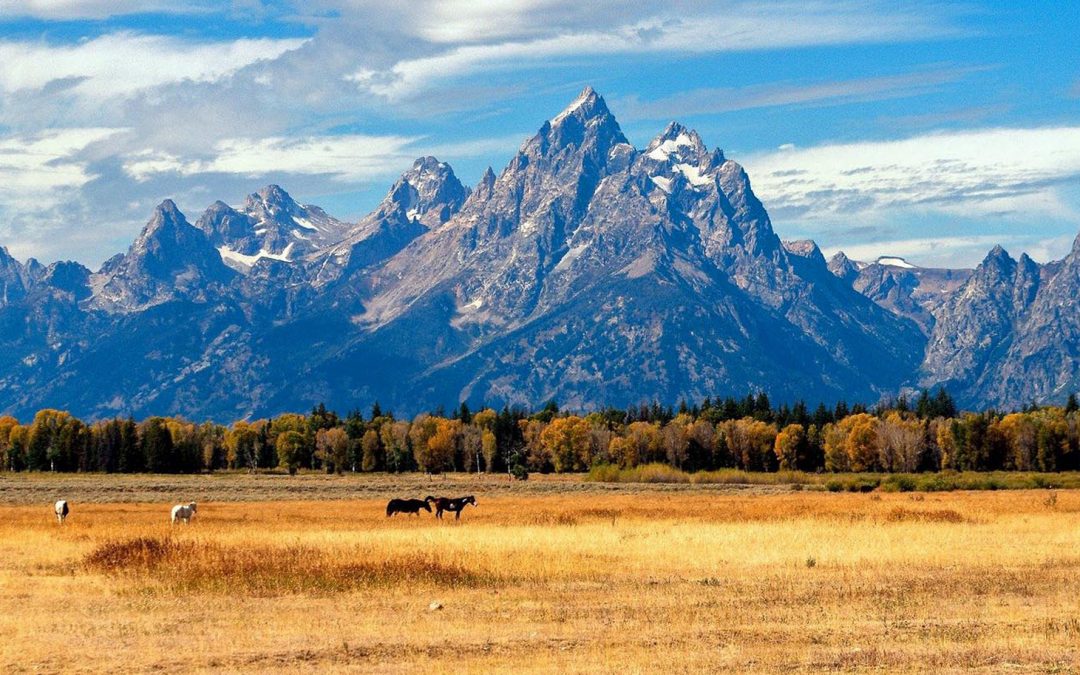 Video: Grand Teton National Park Getaway