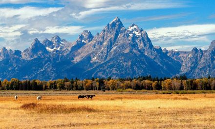 Video: Grand Teton National Park Getaway