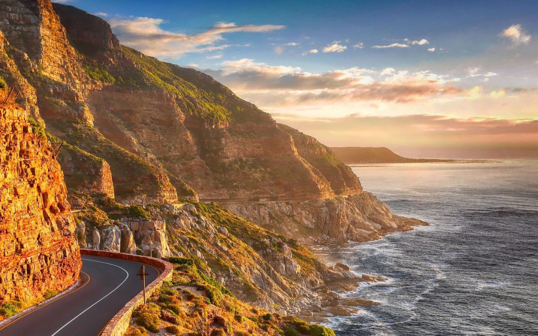 Video: A Novel Look at South Africa