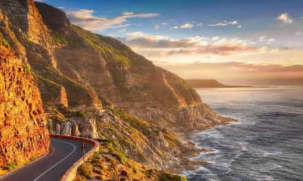 Video: A Novel Look at South Africa