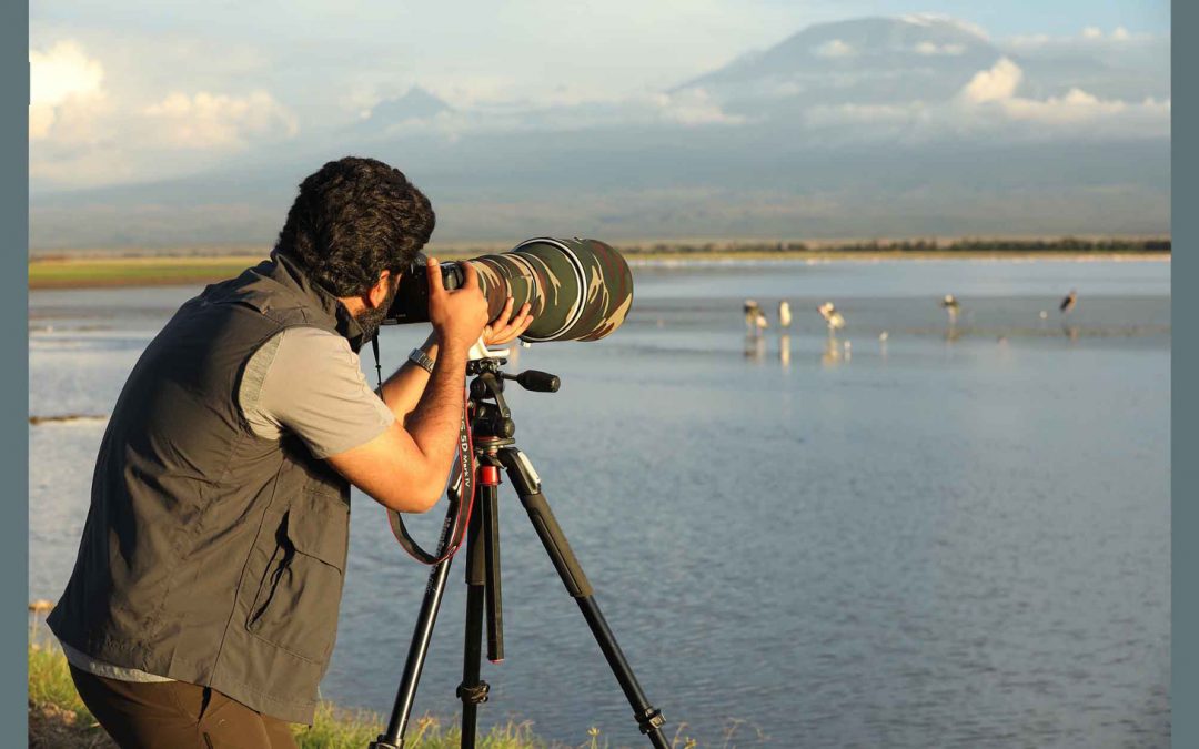 The Color of Your Clothing and How It Affects Animal Behavior