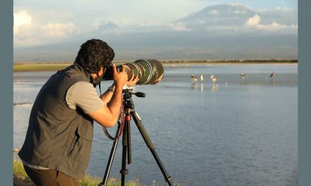 The Color of Your Clothing and How It Affects Animal Behavior