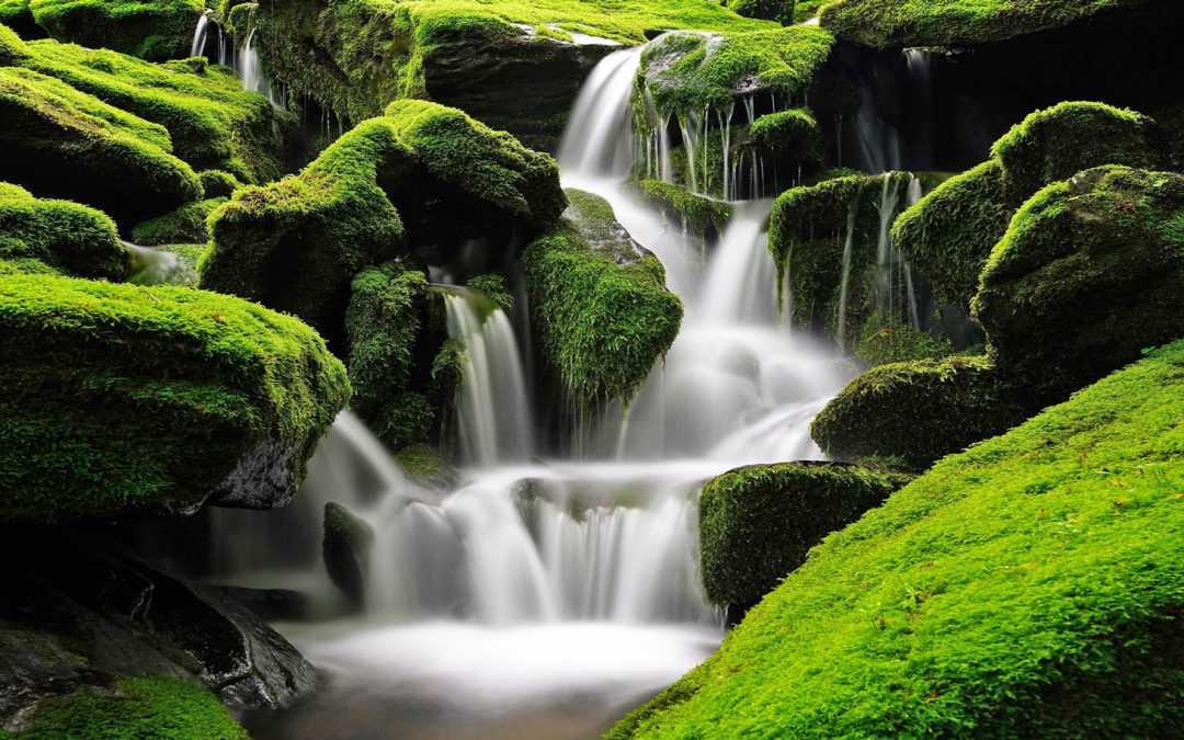 You May Not Be as Environmentally Friendly as You Think