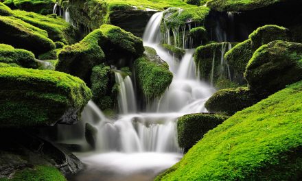 You May Not Be as Environmentally Friendly as You Think