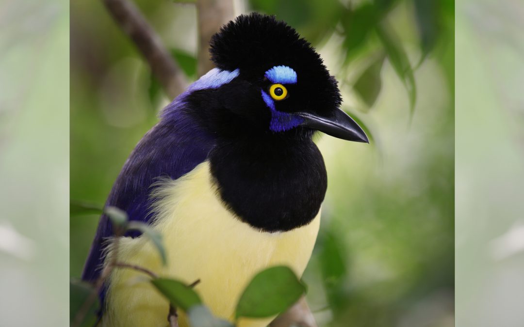 You Don’t Have to Be a Nature Expert to Love It